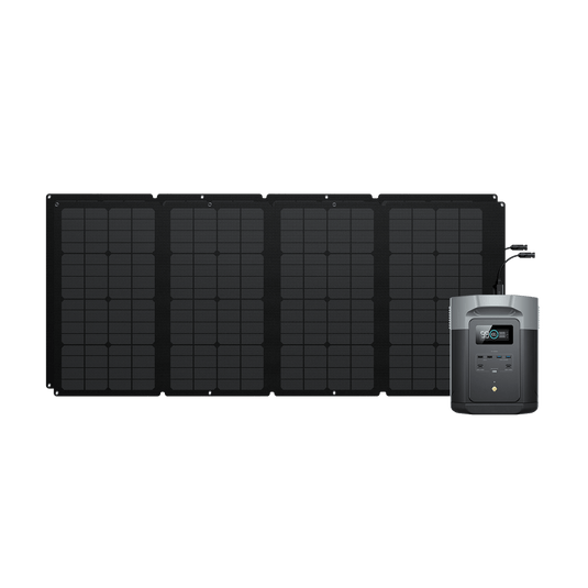 EcoFlow US 2*160W + DELTA 2 Max EcoFlow DELTA 2 Max Solar Generator (PV160W)- livestream