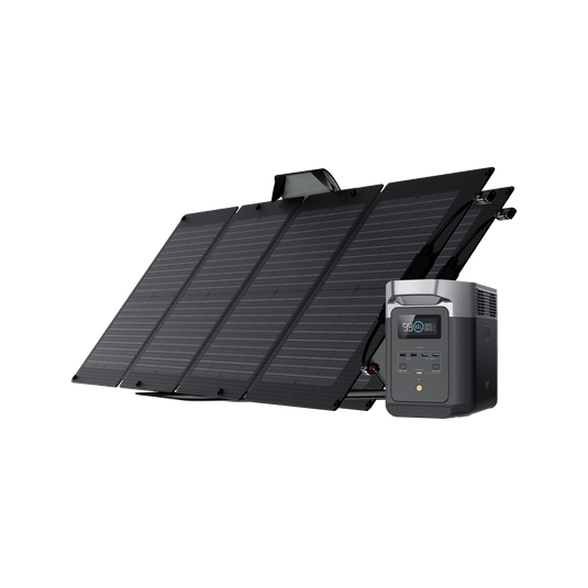 EcoFlow US Bundle 2*110W + DELTA 2 EcoFlow DELTA 2 Solar Generator (PV110W*2)--Livestream